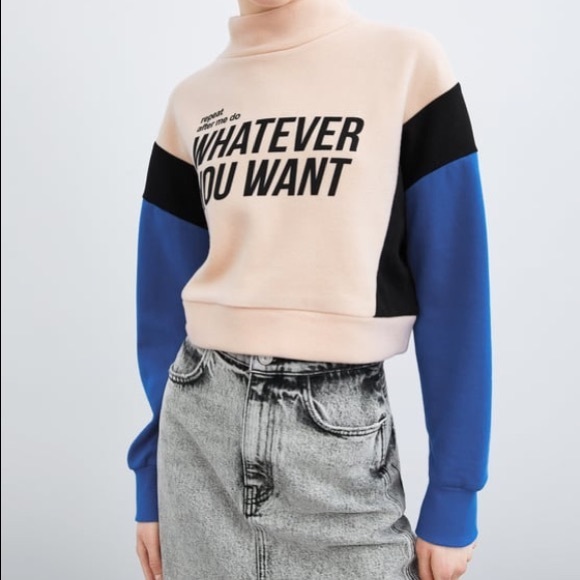 Zara Sweaters - Zara Blogger Fave Do Whatever You Want Crop